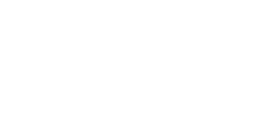 ROMÁRIO ROCHA®